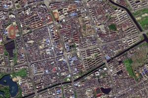 开发区卫星地图-江苏省扬州市仪征市原种场地图浏览