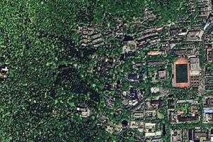 岳麓卫星地图-湖南省长沙市岳麓区麓谷街道地图浏览
