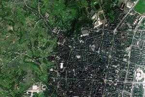岳池县卫星地图-四川省广安市岳池县、乡、村各级地图浏览