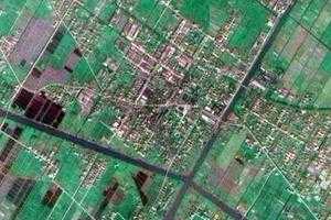 向化鎮衛星地圖-上海市崇明區前衛農場、村地圖瀏覽