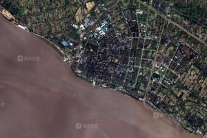 上實現代農業園區衛星地圖-上海市崇明區前衛農場地圖瀏覽