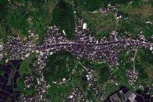 树仔镇卫星地图-广东省茂名市电白区电海街道、村地图浏览