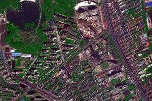 -卫星地图-上海市--地图浏览