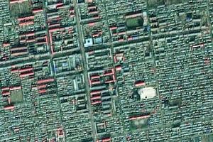 第二良種場衛星地圖-黑龍江省綏化市望奎縣東風街道地圖瀏覽