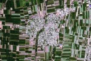 师素乡卫星地图-河北省沧州市肃宁县师素乡、村地图浏览