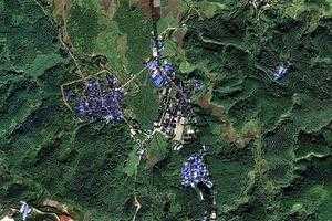 勐滿鎮衛星地圖-雲南省西雙版納傣族自治州勐海縣勐滿鎮、村地圖瀏覽