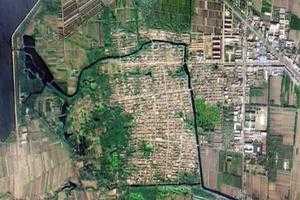 蛟龙镇卫星地图-山东省德州市经济技术开发区长河街道、村地图浏览