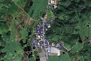勐阿镇卫星地图-云南省西双版纳傣族自治州勐海县勐阿镇、村地图浏览