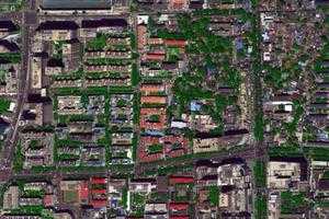 椿树卫星地图-北京市西城区椿树街道地图浏览