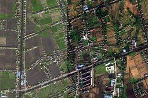 五接镇卫星地图-江苏省南通市通州区环本农场、村地图浏览