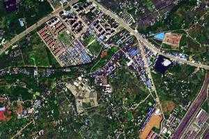 泰興鎮衛星地圖-四川省成都市泰興鎮、村地圖瀏覽