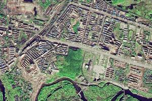黄泥洞林场卫星地图-湖南省永州市东安县大庙口林场地图浏览