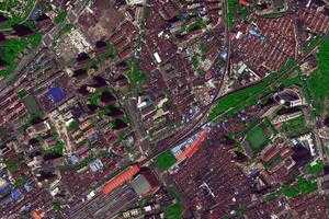 -衛星地圖-上海市--地圖瀏覽