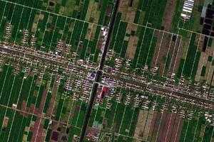 新村鄉衛星地圖-上海市崇明區前衛農場、村地圖瀏覽