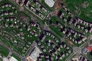 三圣卫星地图-四川省成都市锦江区锦官驿街道地图浏览