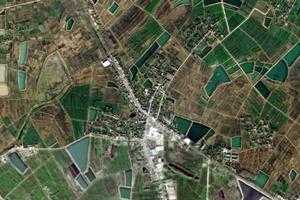 造甲乡卫星地图-安徽省合肥市长丰县安徽省水家湖农场、村地图浏览