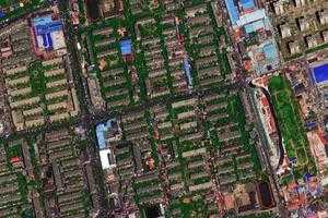 东新卫星地图-天津市河东区东新街道地图浏览