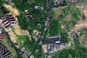 南山衛星地圖-四川省綿陽市涪城區普明街道地圖瀏覽