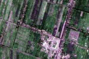 巴格阿瓦提乡卫星地图-新疆维吾尔自治区阿克苏地区喀什地区莎车县巴格阿瓦提乡、村地图浏览