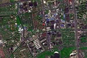 -衛星地圖-上海市--地圖瀏覽