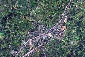 大塘镇卫星地图-四川省成都市蒲江县大塘镇、村地图浏览