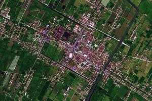 廟鎮衛星地圖-上海市崇明區前衛農場、村地圖瀏覽