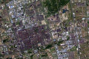 金海衛星地圖-上海市奉賢區西渡街道地圖瀏覽