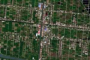 綠華鎮衛星地圖-上海市崇明區前衛農場、村地圖瀏覽