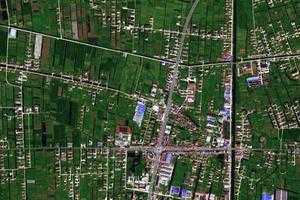树勋镇卫星地图-江苏省南通市海门市树勋镇、村地图浏览