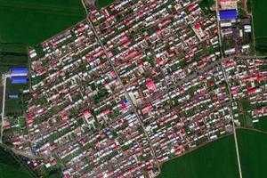紅旗衛星地圖-黑龍江省哈爾濱市香坊區哈爾濱綜合保稅區地區地圖瀏覽