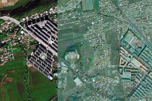 林業局衛星地圖-黑龍江省雞西市雞東縣林業局地圖瀏覽
