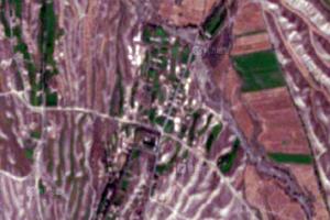 牛圈子牧場衛星地圖-新疆維吾爾自治區阿克蘇地區塔城地區沙灣縣良種場地圖瀏覽