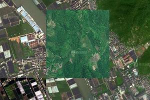 四联村卫星地图-广东省中山市板芙镇板芙社区地图浏览