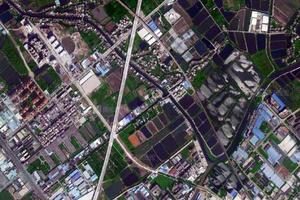 坦背村卫星地图-广东省中山市东升镇白鲤村地图浏览