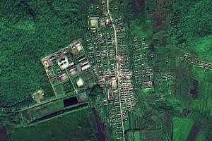 五林洞镇卫星地图-黑龙江省双鸭山市饶河县西丰林场、村地图浏览