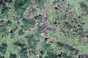 花门镇卫星地图-湖南省娄底市双峰县金开街道、村地图浏览