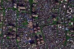 华林卫星地图-广东省广州市荔湾区茶蚪值地图浏览