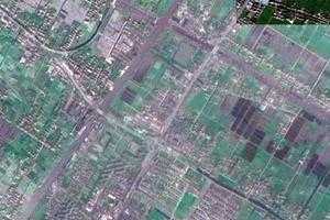 堡鎮衛星地圖-上海市崇明區前衛農場、村地圖瀏覽
