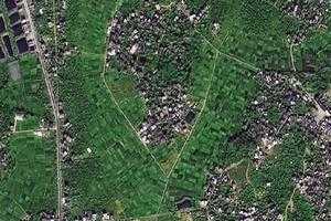 石仔嶺衛星地圖-廣東省茂名市高州市團結農場地圖瀏覽