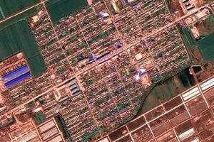 二龍山鎮衛星地圖-黑龍江省佳木斯市富錦市二龍山鎮、村地圖瀏覽