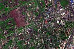 淞南鎮衛星地圖-上海市寶山區寶山城市工業園區、村地圖瀏覽