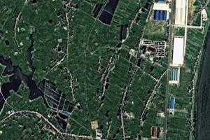 高坝洲镇卫星地图-湖北省宜昌市宜都市松宜矿区、村地图浏览