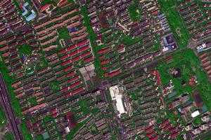 张庙卫星地图-上海市宝山区宝山城市工业园区地图浏览