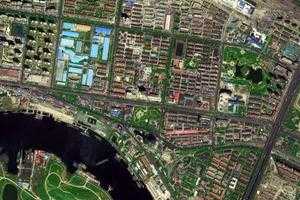 临港产业园区二卫星地图-天津市滨海新区塘沽街道地图浏览