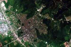 三江镇卫星地图-广东省江门市新会区大鳌镇、村地图浏览