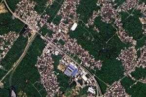 东桥镇卫星地图-福建省泉州市惠安县小稣、村地图浏览