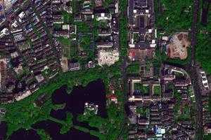 流花衛星地圖-廣東省廣州市越秀區東山街道地圖瀏覽