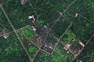 花園鎮衛星地圖-四川省成都市郫都區西園街道、村地圖瀏覽