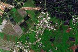 桂林洋個農場衛星地圖-海南省海口市美蘭區海口桂林洋經濟開發區（農場）地圖瀏覽
