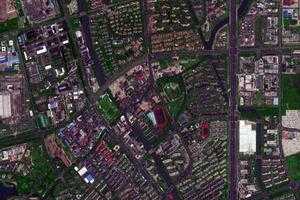 張江鎮衛星地圖-上海市浦東新區南匯新城鎮、村地圖瀏覽